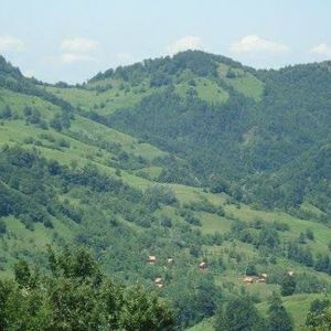 Meet your Posher, Secan